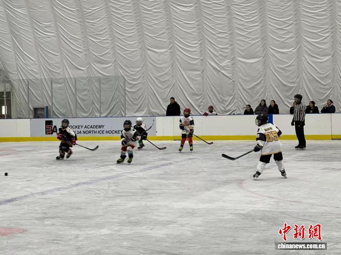 中俄青少年冰球邀请赛哈尔滨落幕 24支劲旅角逐